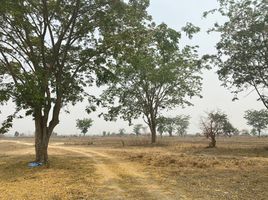  Grundstück zu verkaufen in Pa Daet, Chiang Rai, Rong Chang, Pa Daet