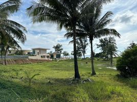  Grundstück zu verkaufen in Takua Thung, Phangnga, Khok Kloi, Takua Thung, Phangnga