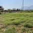  Land for sale in Pong Pha, Mae Sai, Pong Pha