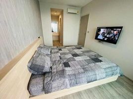 1 Schlafzimmer Appartement zu vermieten im Aeras, Nong Prue