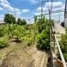  Land for sale in Bang Khu Wiang, Nonthaburi, Bang Khu Wiang