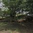 Land for sale in Perez Zeledon San Jose, Perez Zeledon