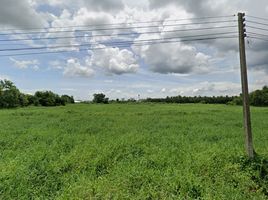  Land for sale in Phanat Nikhom, Chon Buri, Mon Nang, Phanat Nikhom