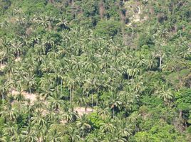  Land for sale in Santiburi Samui Country Club, Maenam, Maenam