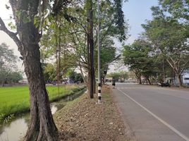  Grundstück zu verkaufen in Wang Noi, Phra Nakhon Si Ayutthaya, Wang Chula, Wang Noi