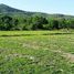  Land for sale in Ban Luang, Chom Thong, Ban Luang