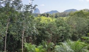 N/A Grundstück zu verkaufen in Khlong Khian, Phangnga 
