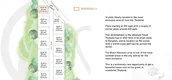 แผนผังโครงการ of เดอะ บาราย พูลวิลล่าส์