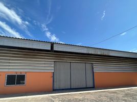  Warehouse for rent in Chon Buri, Nong Tamlueng, Phan Thong, Chon Buri
