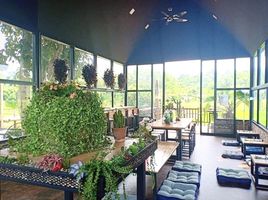 13 Schlafzimmer Haus zu verkaufen in Doi Saket, Chiang Mai, Pa Miang