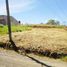  Land for sale in Jose Joaquin Salas Perez, San Ramon, San Ramon