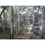  Land for sale in Grecia, Alajuela, Grecia