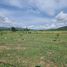  Land for sale in Dan Chang, Suphan Buri, Huai Khamin, Dan Chang