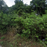  Land for sale in Namphu, Mueang Ratchaburi, Namphu