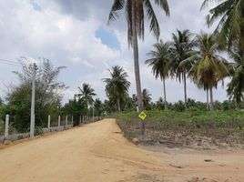  Grundstück zu verkaufen in Pattaya, Chon Buri, Huai Yai