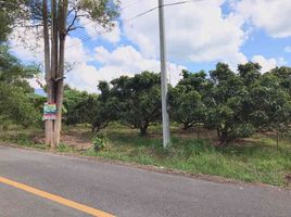  Land for sale in Mae Pang, Phrao, Mae Pang