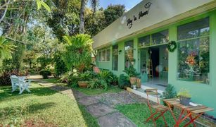 3 Bedrooms Shophouse for sale in Talat Nuea, Phuket 
