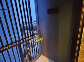 1 Bedroom Condo for rent at The Base Rama 9 - Ramkhamhaeng, Hua Mak