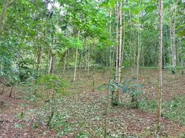  Land for sale in San Carlos, Alajuela, San Carlos