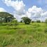  Land for sale in Nakhon Phanom, Fang Daeng, That Phanom, Nakhon Phanom