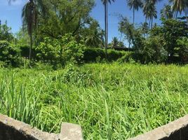  Land for sale in Pa Khlok, Thalang, Pa Khlok