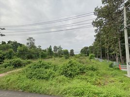  Land for sale in Nong Teng, Krasang, Nong Teng