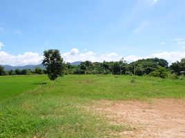  Grundstück zu verkaufen in San Sai, Chiang Mai, Nong Yaeng, San Sai