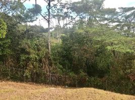  Land for sale in Panama, Pacora, Panama City, Panama