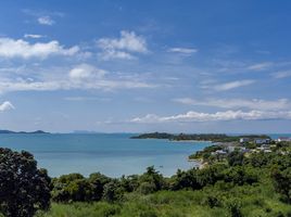 在Bang Rak Beach, 波普托出售的 土地, 波普托