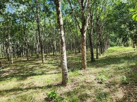  Land for sale in Thep Krasattri, Thalang, Thep Krasattri