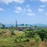  Land for sale in Pa Khlok, Phuket, Pa Khlok, Thalang