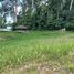  Land for sale in Surat Thani, Maret, Koh Samui, Surat Thani