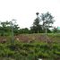  Land for sale in Pak Chong, Nakhon Ratchasima, Pak Chong, Pak Chong