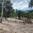  Land for sale in Maenam, Koh Samui, Maenam