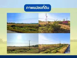  Grundstück zu verkaufen in Non Sung, Nakhon Ratchasima, Don Chomphu, Non Sung