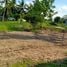  Land for sale in Kep. BangkaBelitung, Pangkalan Baru, Bangka, Kep. BangkaBelitung