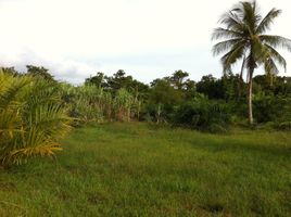  Land for sale in Pa Khlok, Thalang, Pa Khlok