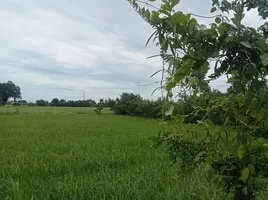 Land for sale in Phetchaburi, Khao Yoi, Khao Yoi, Phetchaburi