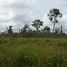  Land for sale in Amazonas, Balbina, Presidente Figueiredo, Amazonas