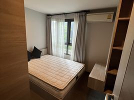 2 спален Кондо в аренду в Mirage Sukhumvit 27, Khlong Toei