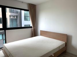 คอนโด 2 ห้องนอน ให้เช่า ในโครงการ บี รีพลับลิค, บางนา, บางนา