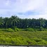3 Bedroom House for sale at Supalai Bella Ko Kaeo Phuket, Ko Kaeo, Phuket Town