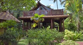 Verfügbare Objekte im Coconut Paradise