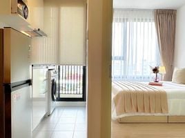 1 Bedroom Condo for rent at Chewathai Kaset - Nawamin, Sena Nikhom, Chatuchak