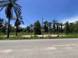  Land for sale in Hin Lek Fai, Hua Hin, Hin Lek Fai