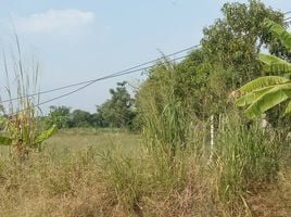  Grundstück zu verkaufen in Mueang Chon Buri, Chon Buri, Mueang