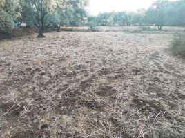  Land for sale in Al Haouz, Marrakech Tensift Al Haouz, Al Haouz