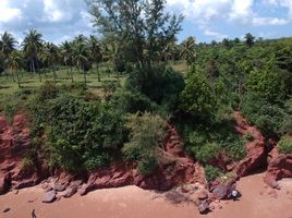  Grundstück zu verkaufen in Pathio, Chumphon, Pak Khlong, Pathio