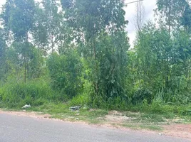  Land for sale in Nong Prue, Pattaya, Nong Prue