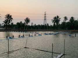  Grundstück zu verkaufen in Ban Phaeo, Samut Sakhon, Lak Sam